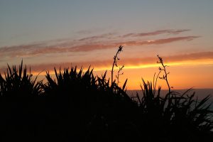2003_0214nz20274